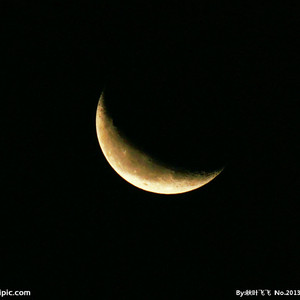 动漫美女裸体无遮挡
